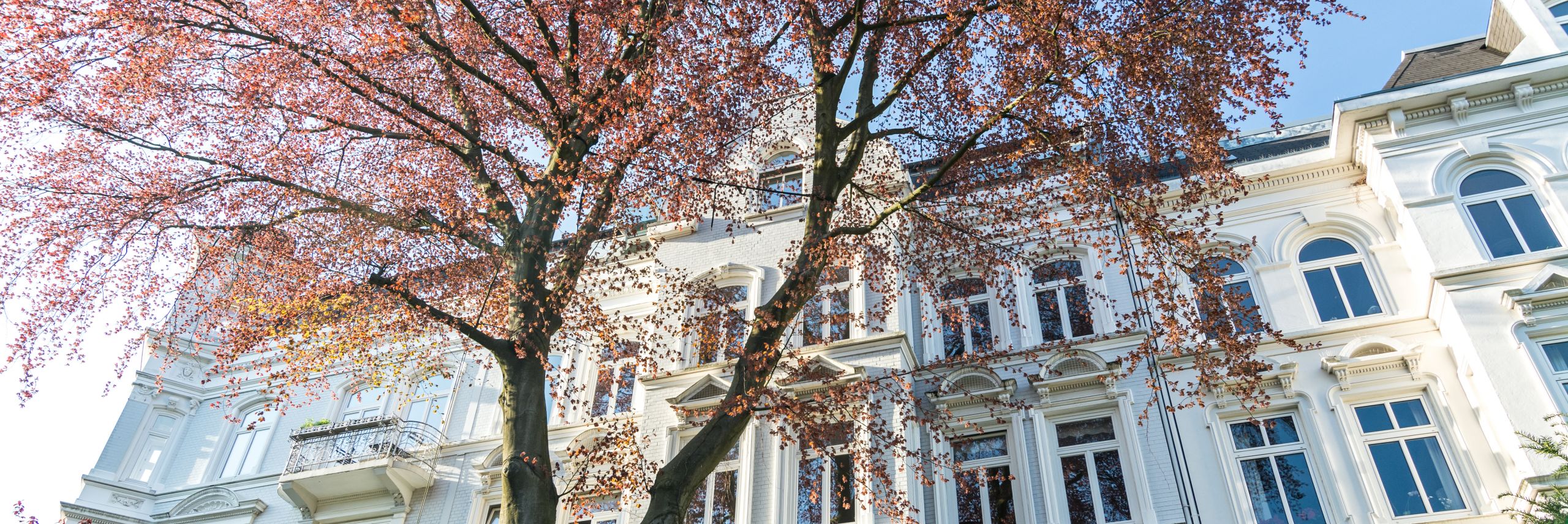 Schloss